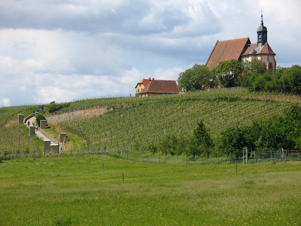 Landscape wine franken main loop