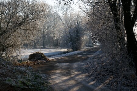 Nature ice ripe photo