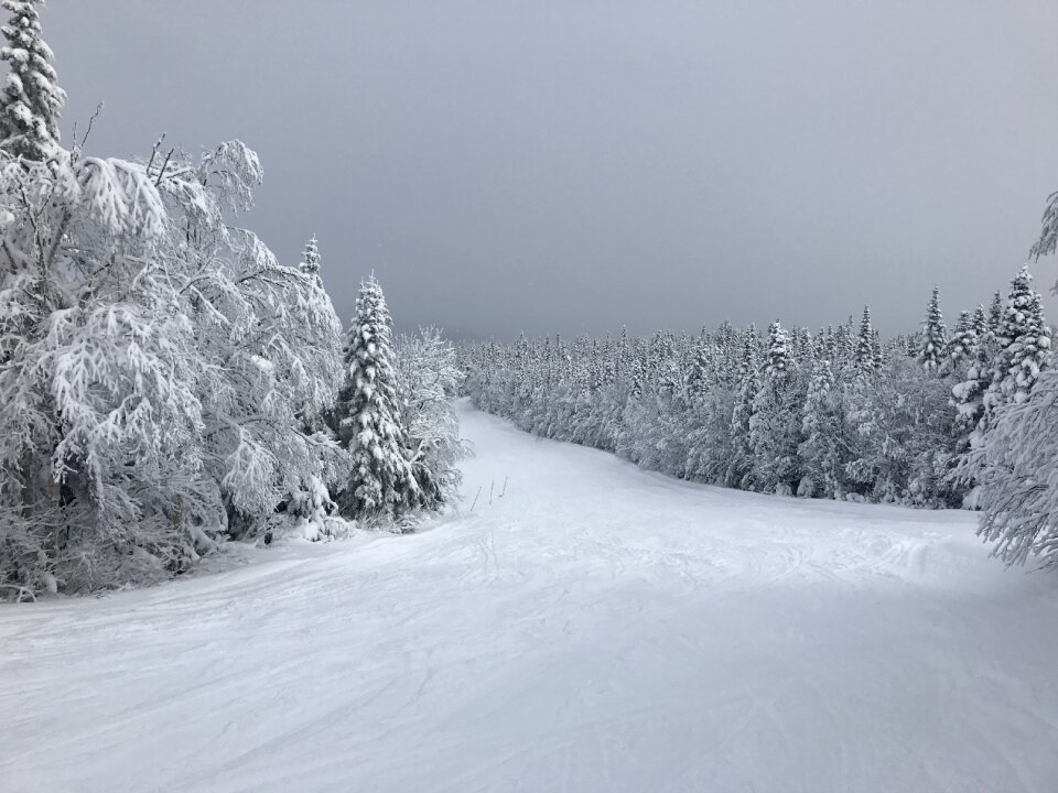 Winter canada summit