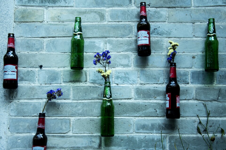 Wall bottle vase