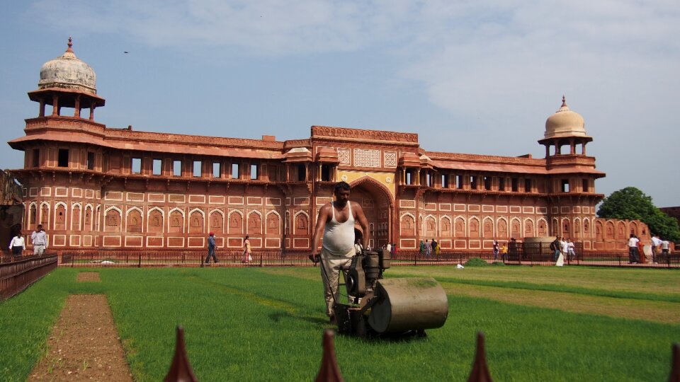 Gazon care grass-cutter