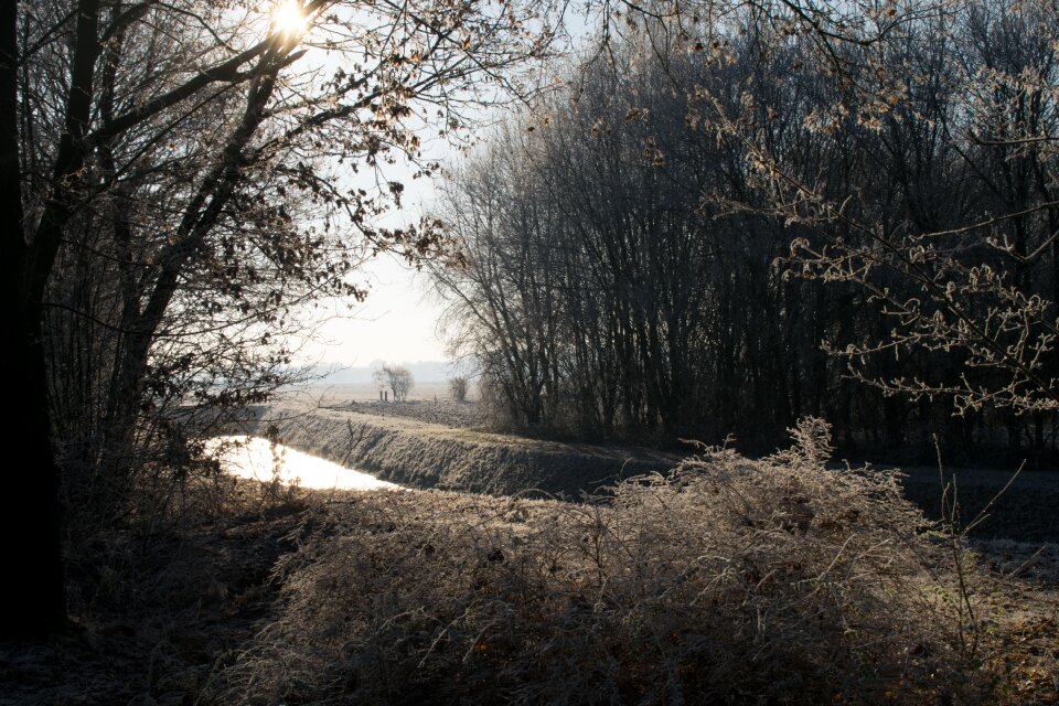 Frozen snow frost