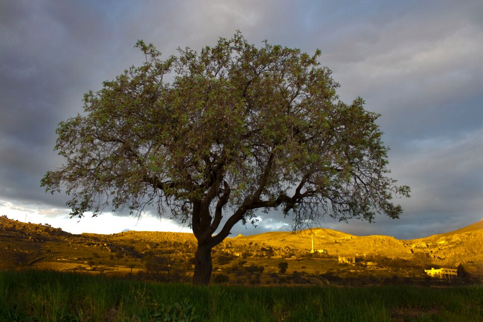 Landscape turkey sky