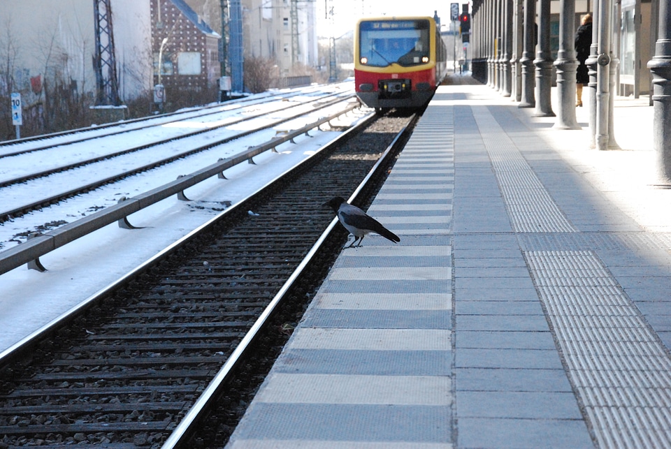 Public means of transport rail s bahn train photo