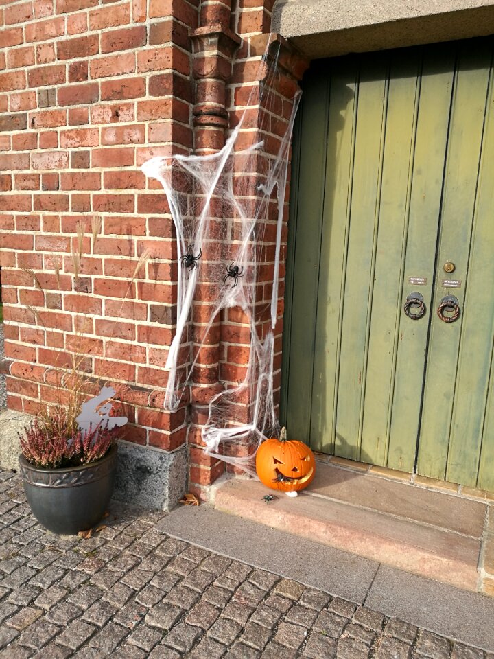 Decor decoration spiderweb