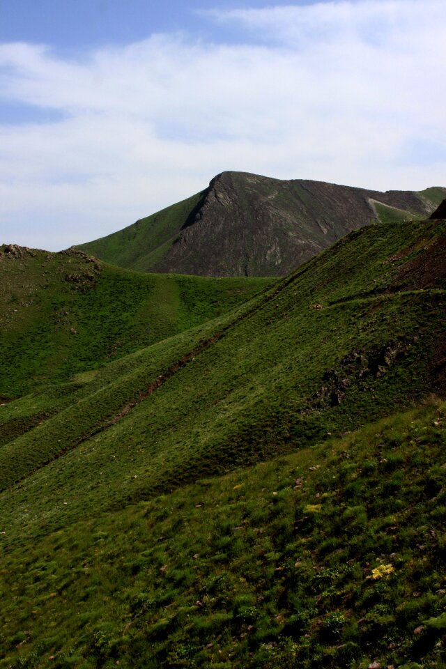 Green landscape high