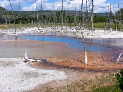 Pool yellowstone