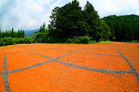 Countryside natural landscape