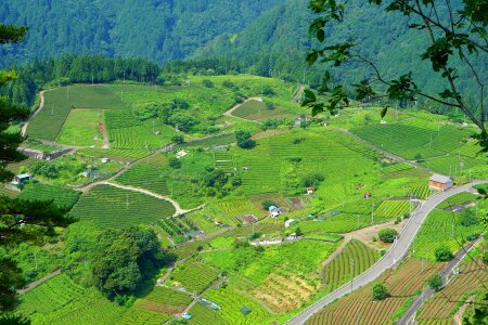 Field gifu sky photo