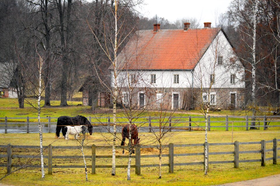 Pen country countryside