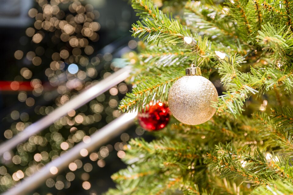 Glass ornament holiday photo