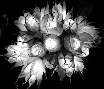 Arrangement paper flowers