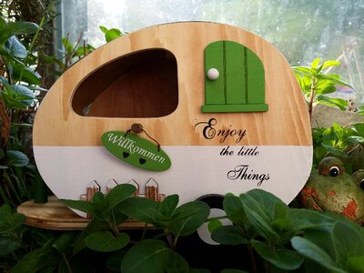 Caravan tinyhouse small