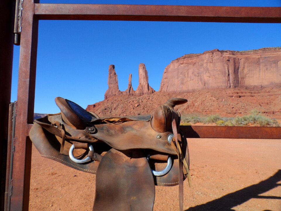 Horse cowboy western