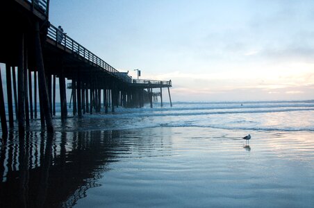 Dock california evening photo