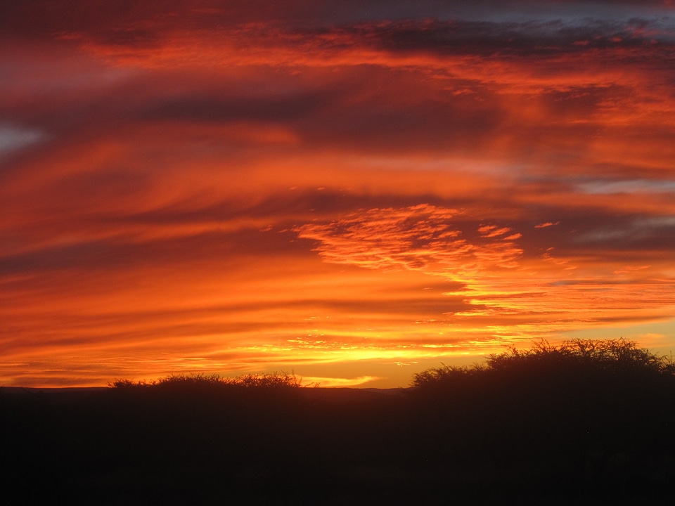 Dark crimson orange