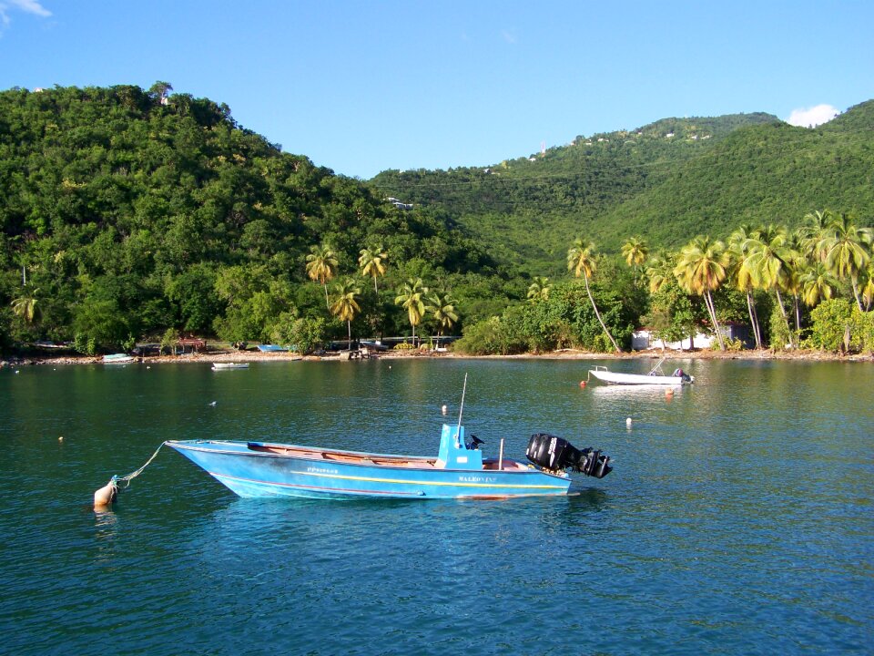 Island exotic tropic
