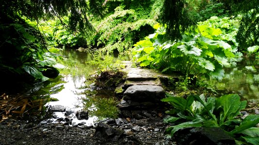 Summer reflection light