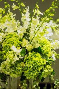 Beautiful fresh background beauty