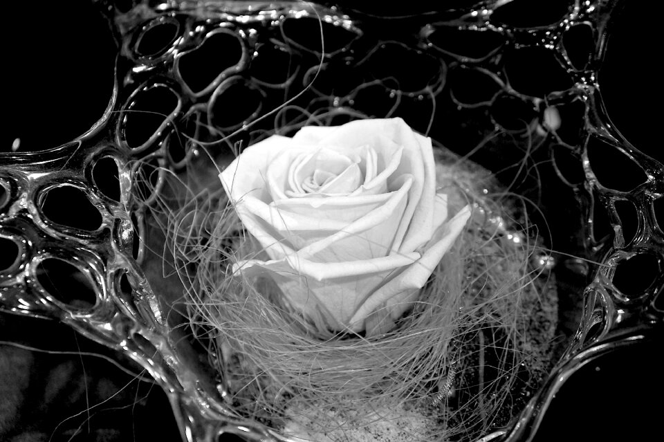 Glass bowl glass art rose
