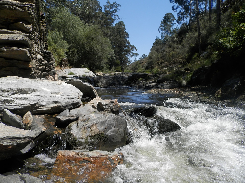 Ferreira river water chain