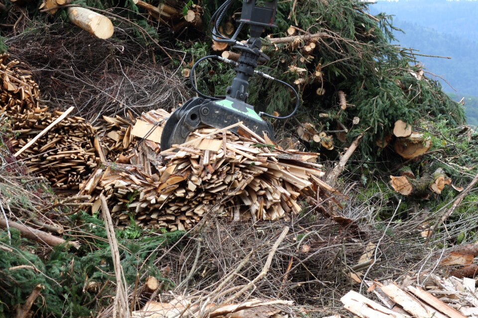 Lumber wood chips woods