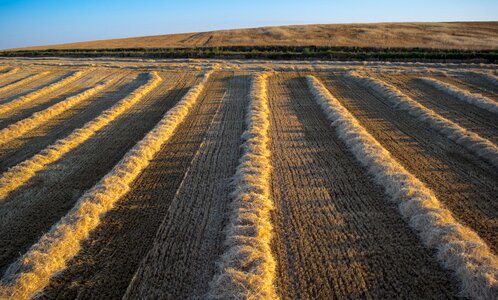 Agriculture food landscape