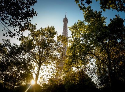 Paris france trees photo