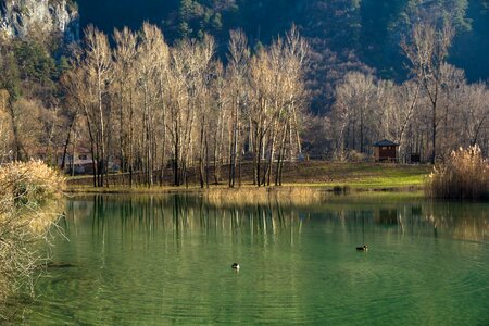 Color installments forest