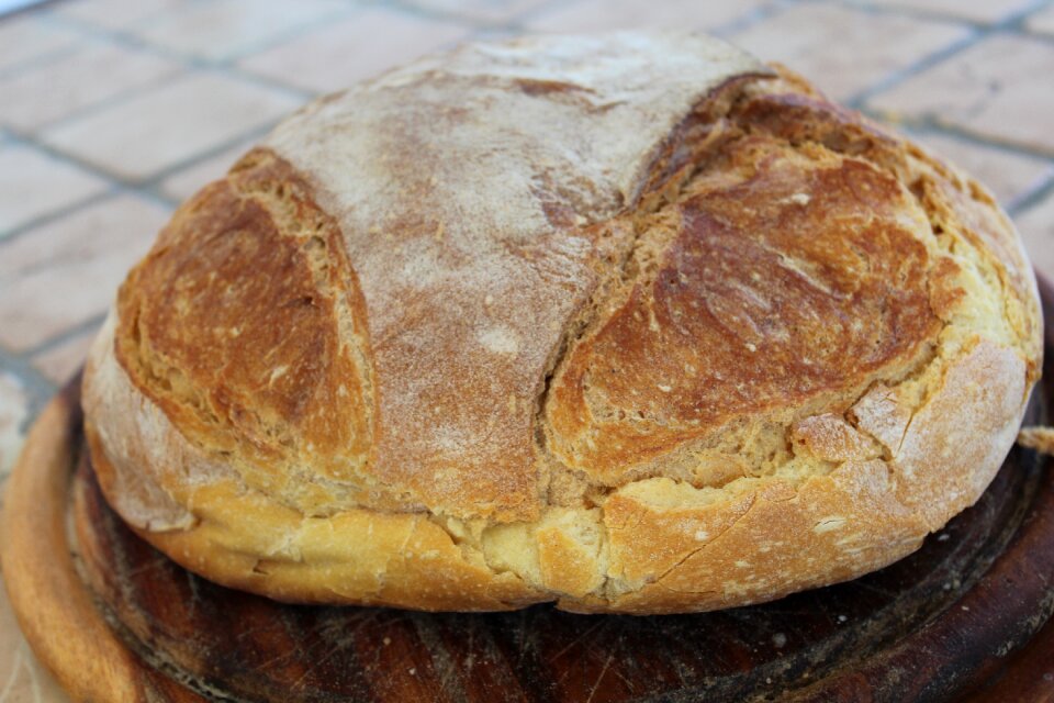 Altamura flour food