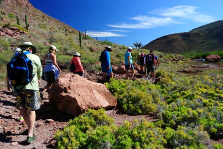 Mexico camp trail