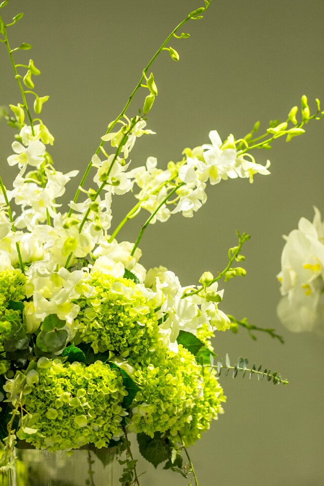 Beautiful fresh background beauty