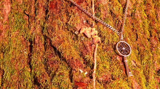 Jewellery moss necklace