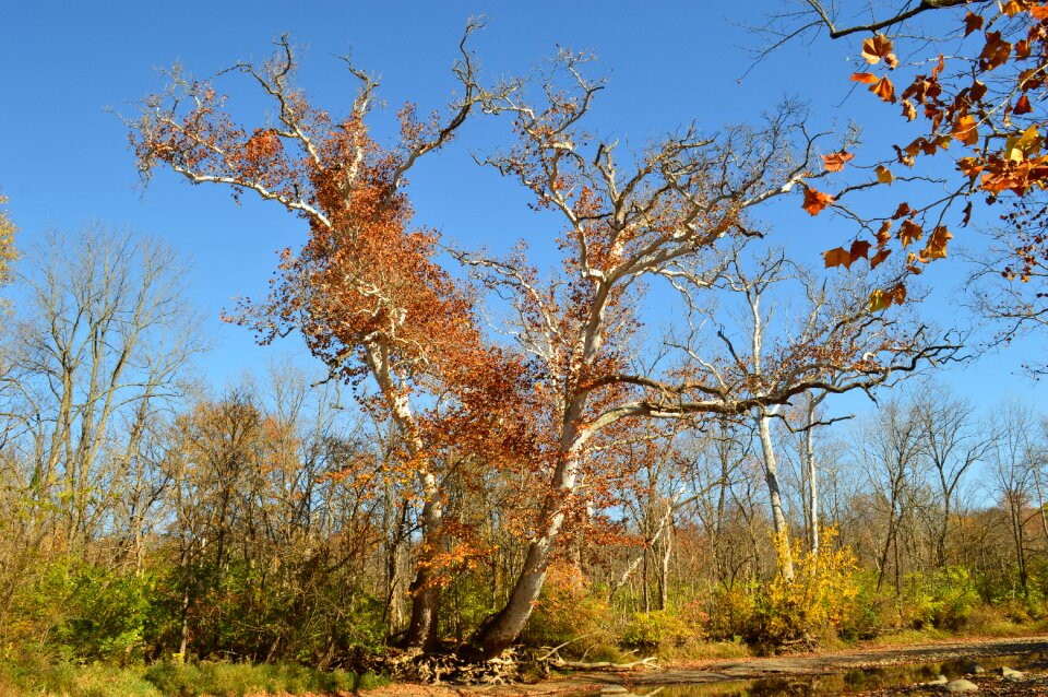 Season autumn scenery