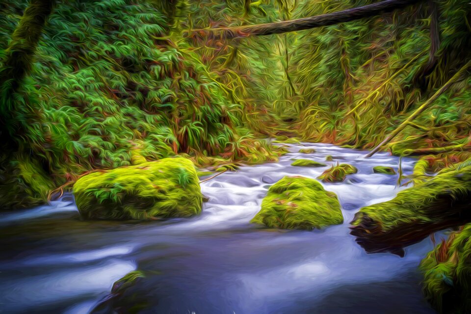 Landscape bach moss