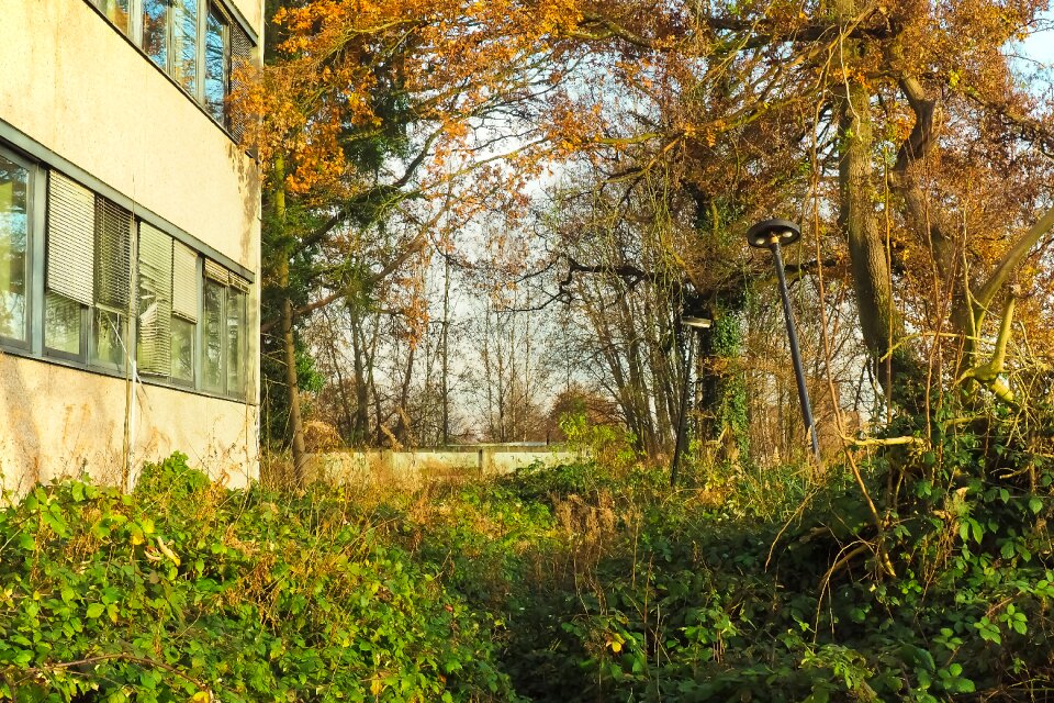 Past pforphoto building