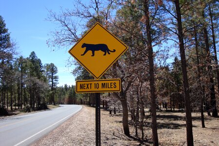 Warning board beasts