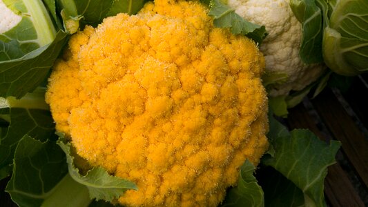 Yellow white vegetables market