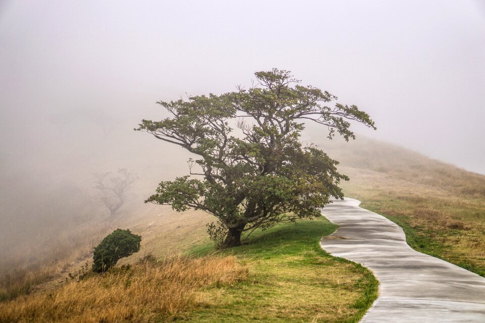 Mountain path japan natural