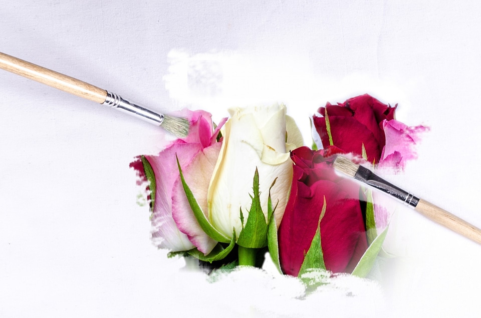 Flowers wallpaper clear