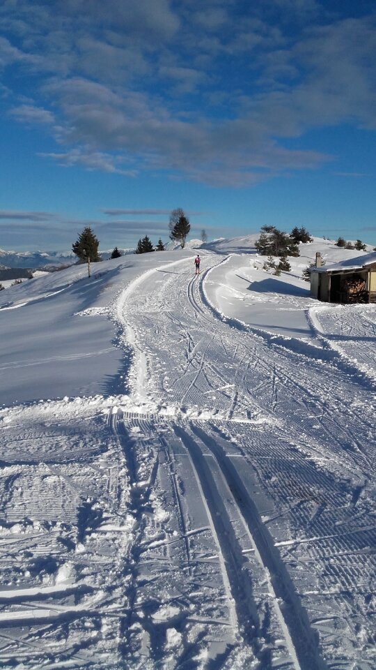 Background landscape winter
