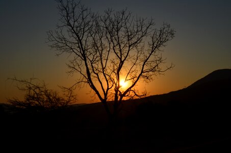 Sun landscape sunlight photo