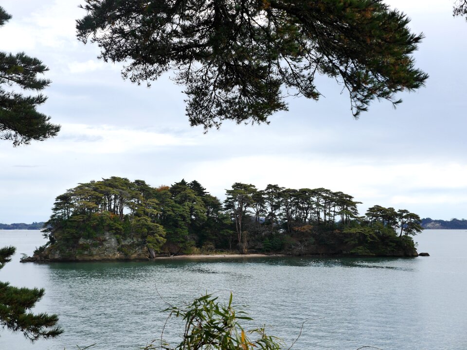 Matsushima island coast