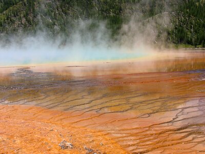 Spring yellowstone