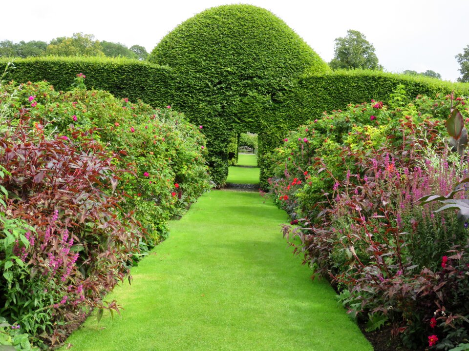 Hedge shape summer