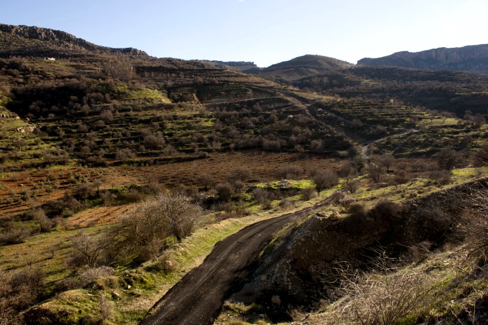 Grassland rocks mountain