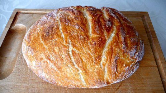 Power whole wheat bread recipe photo