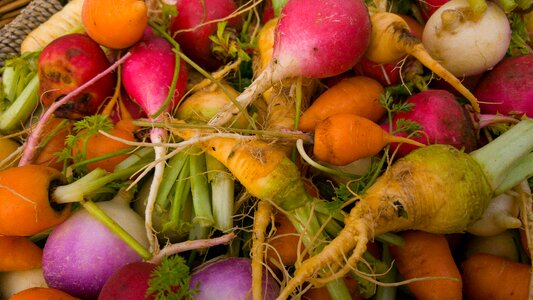 Vegetables mini vegetables agriculture