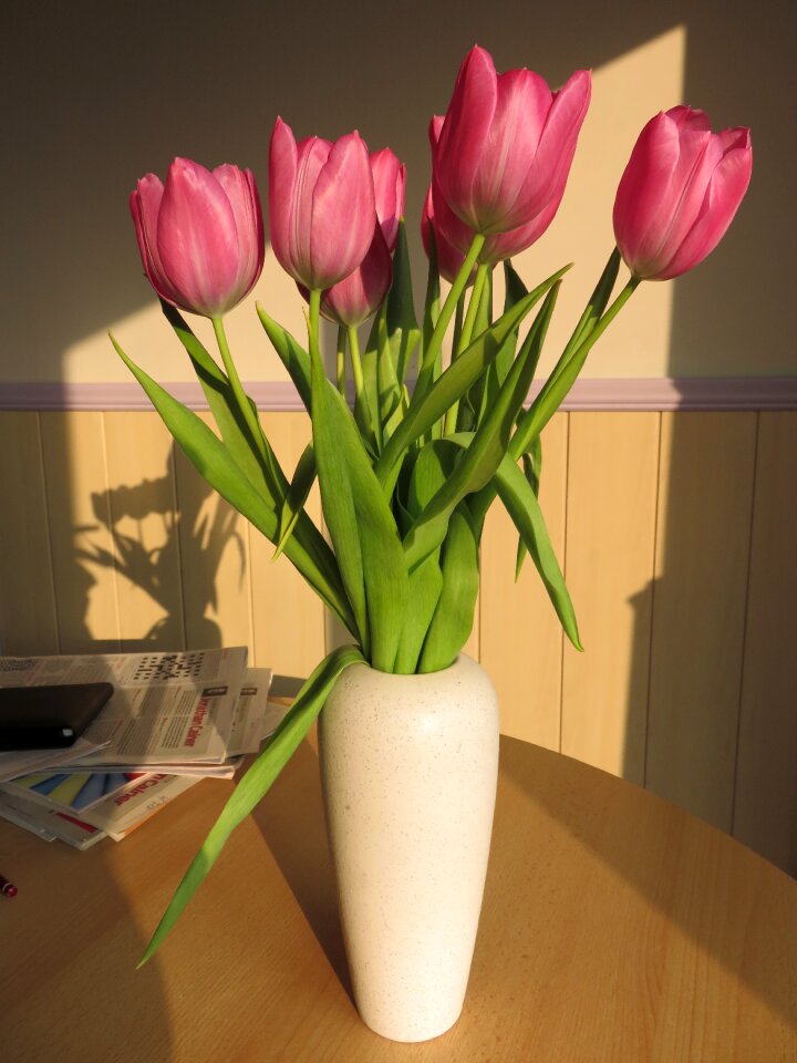 Pink bloom bunch