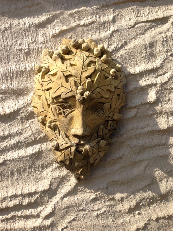 Decoration oak leaf